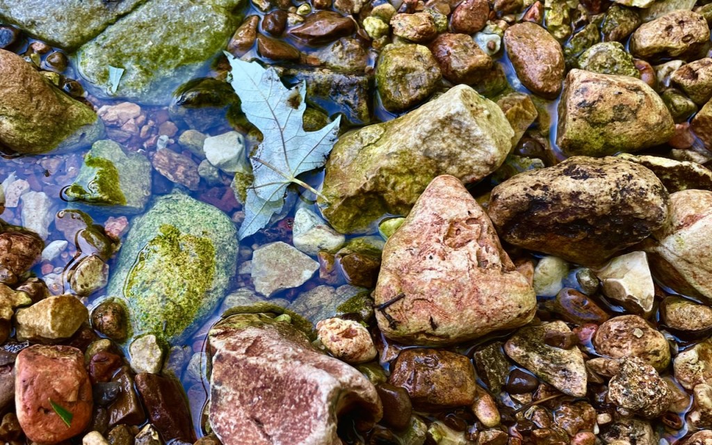 Summer photos from Arkansas.